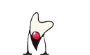Applet image