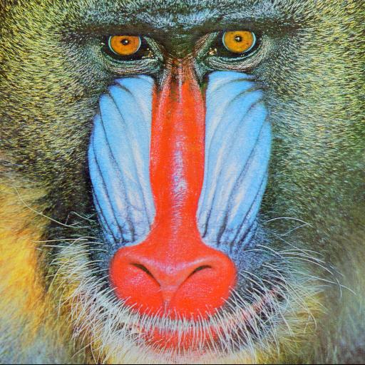 Image: http://www.johnloomis.org/ece563/notes/basics/components/mandrill/Mandrill.jpg