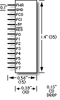 BS1-IC Pinout
