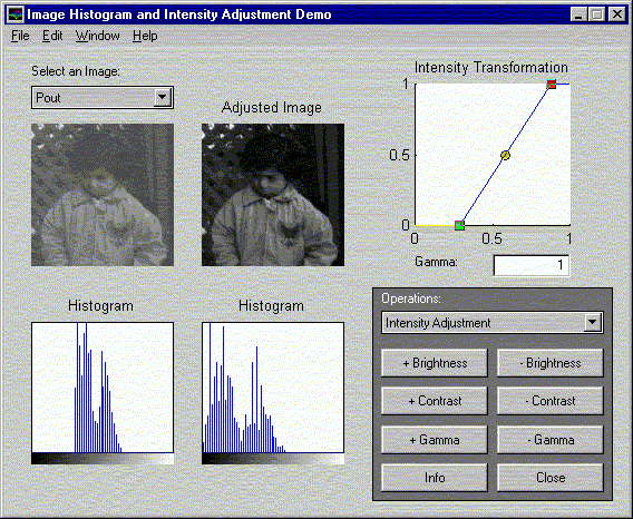 Matlab Image Adjust Demo